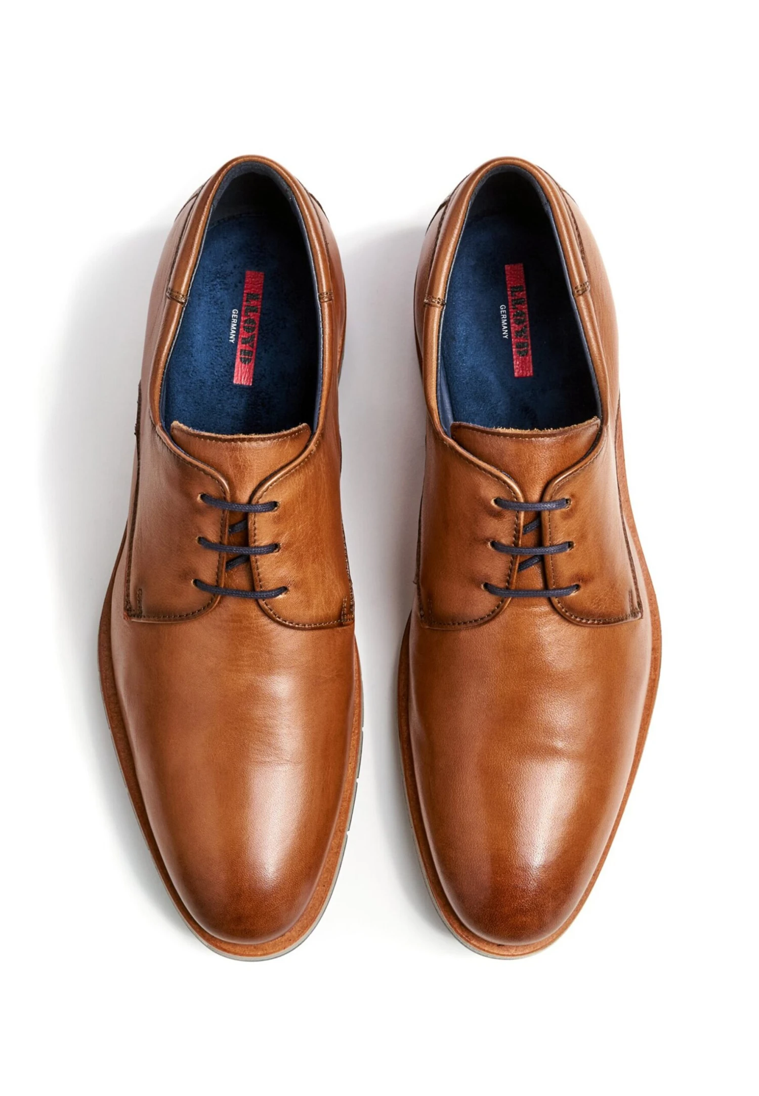 Lloyd Tambo - Stringate Eleganti - Braun 6 Lloyd Tambo - Stringate Eleganti - Braun - immagine 4